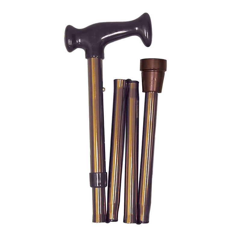 Briggs Healthcare Carrying Case Bronze (502-1316-5400HS) image 1