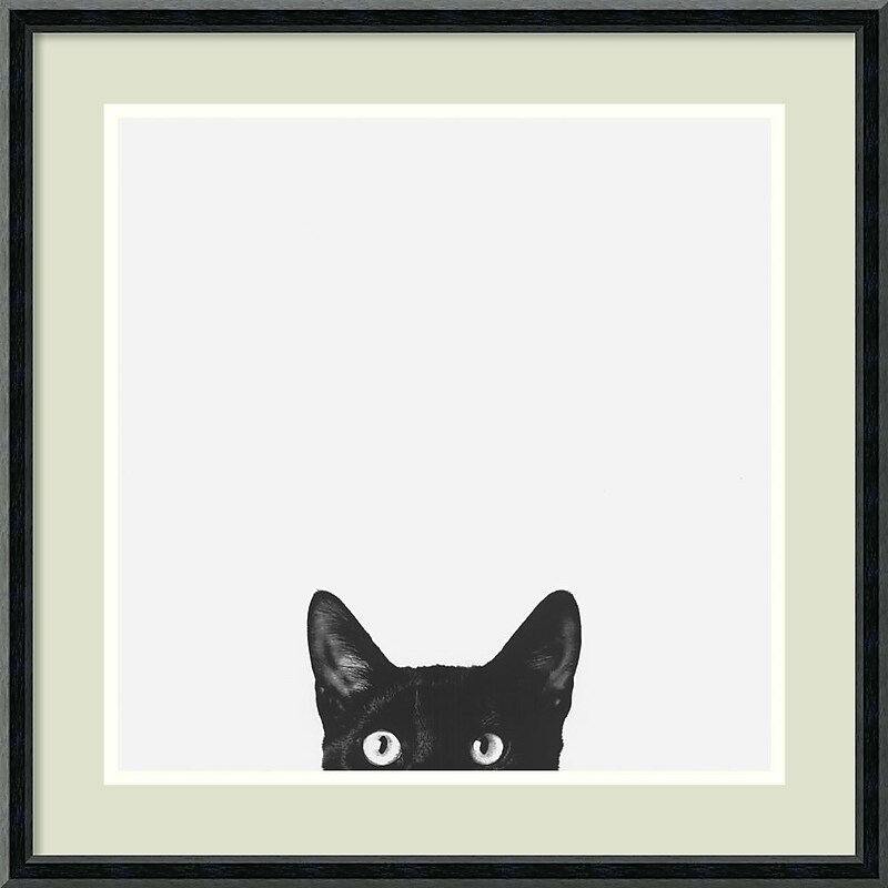 Amanti Art Jon Bertelli "Curiosity" Framed Animal Art, 20" x 20" image 1