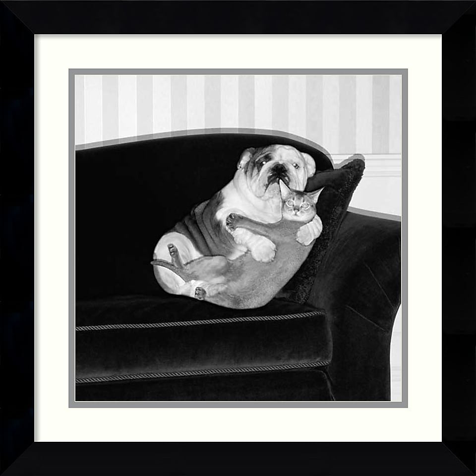 Amanti Art Howard Berman Forbidden Love Framed Animal Art, 22.62 x 22.62
