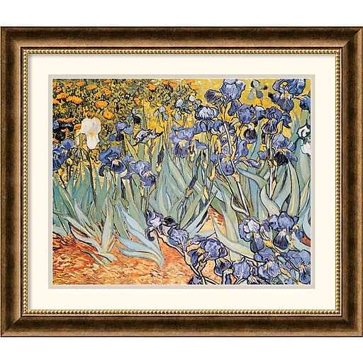 Amanti Art Vincent Van Gogh 