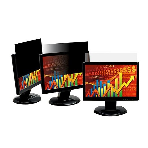 3M™ Privacy Filter for 19.5" Widescreen Monitor (169) at Staples