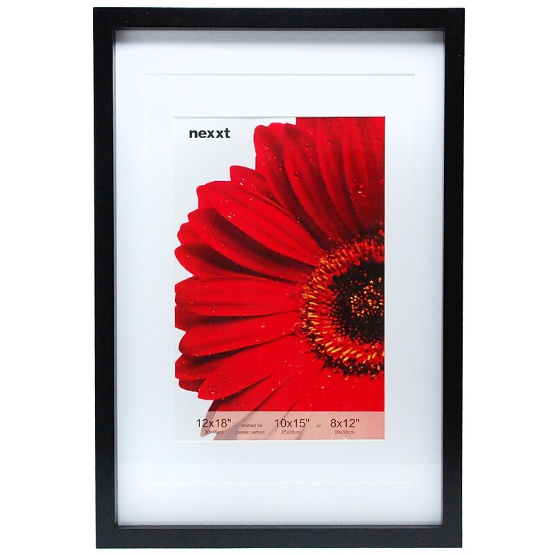 Nexxt PN00244-0FF Wood 13.2" x 19.6" Picture Frame, Black image 1