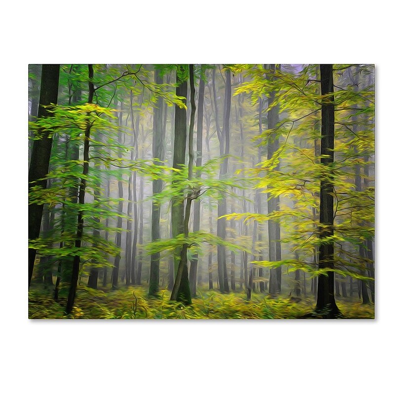 Trademark Fine Art 12" x 19" Wooden Frame Sugar Low image 1