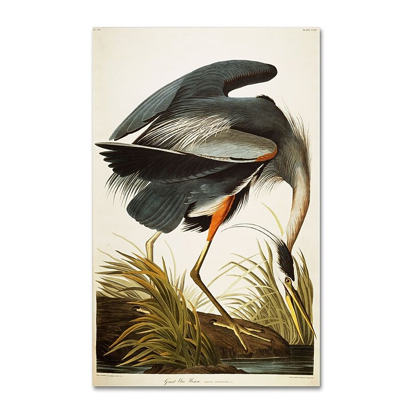 Trademark Fine Art 19" x 12" Wooden Frame Great Blue Heron image 1