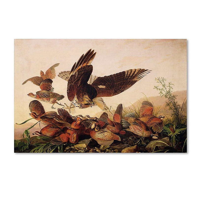 Trademark Fine Art 12" x 19" Wooden Frame Fine Art image 1