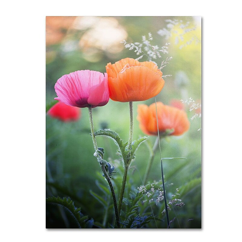 Trademark Fine Art 12" x 19" Hidden Wooden Frame Love Me Again image 1