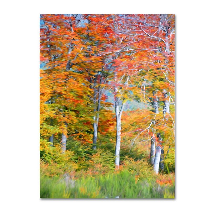 Trademark Fine Art 12" x 19" Hidden Wooden Frame The Line it Curves image 1