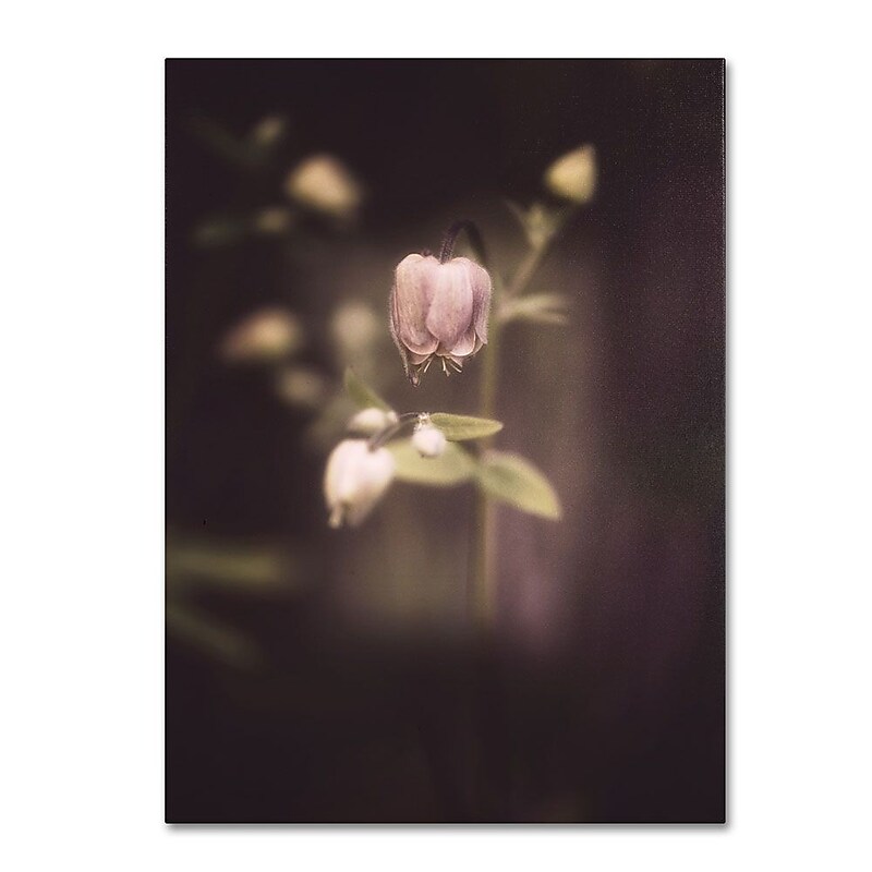 Trademark Fine Art 19" x 12" Wooden Frame Gallery Wrapped Canvas Art image 1