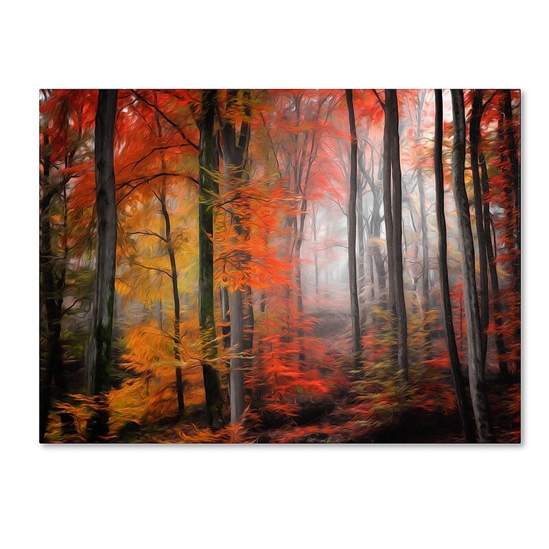 Trademark Fine Art 12" x 19" Wooden Frame Wildly Red image 1