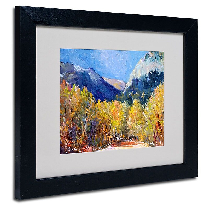 Trademark Fine Art 11" x 14" Acrylic Cotton, Black Frame image 1