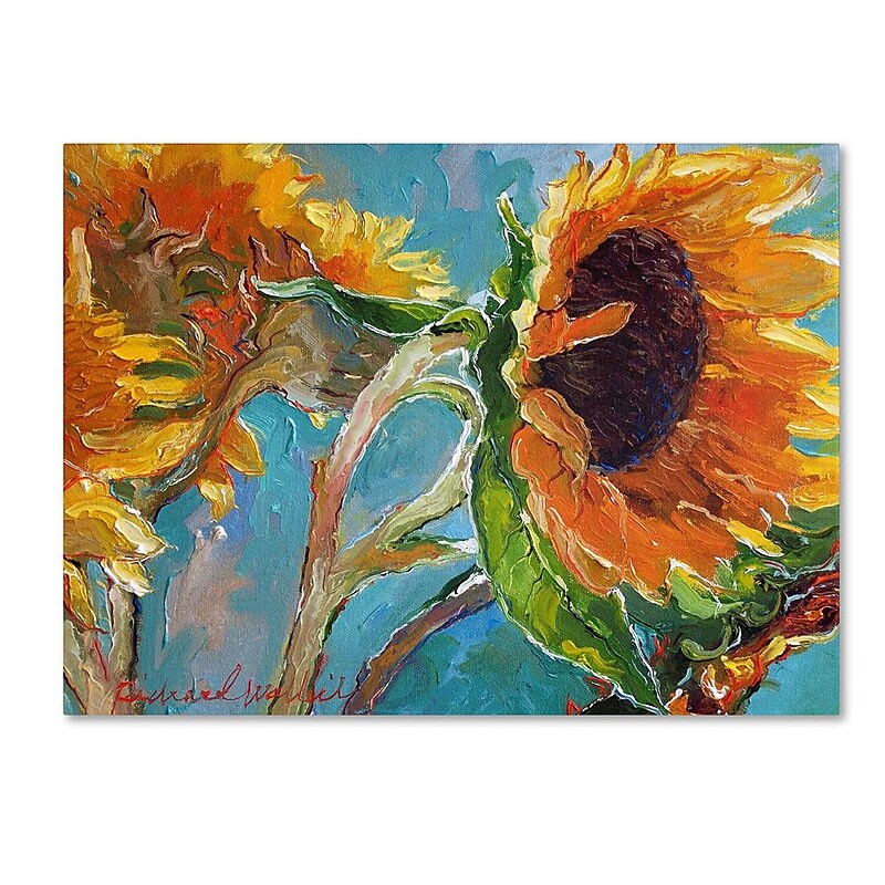Trademark Fine Art 35" x 47" Canvas Sun 11 image 1