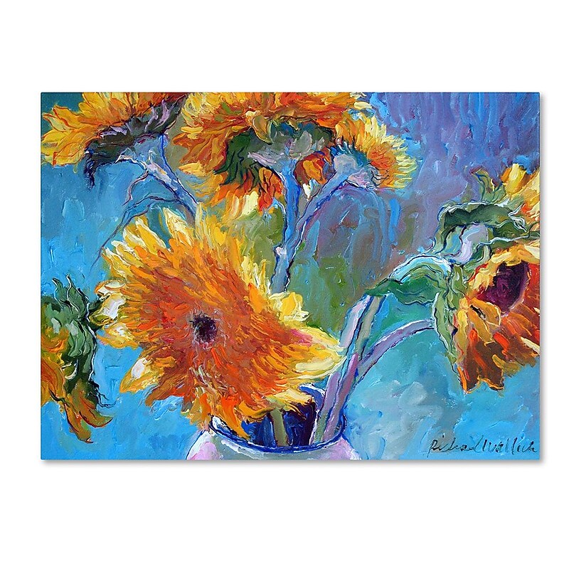 Trademark Fine Art 24" x 32" Wooden Frame Sun 5 image 1