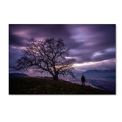 Trademark Fine Art "The Tree of Love Grenoble" Canvas Art by Mathieu Rivrin