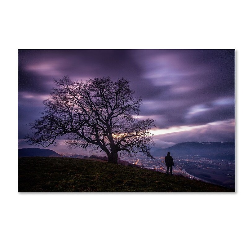 Trademark Fine Art 16" x 24" Wooden Frame The Tree of Love Grenoble image 1