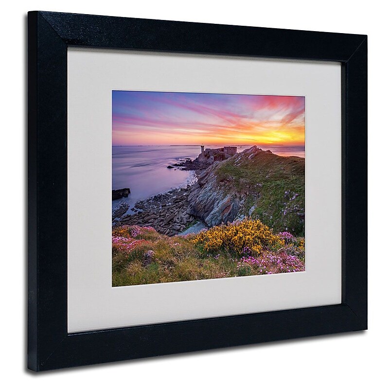 Trademark Fine Art 11" x 14" Acrylic Brittany in Flowers, Black Frame image 1