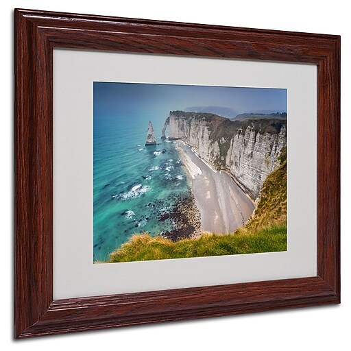 Trademark Fine Art 11" x 14" Canvas, Wood Fog Artwork, Wood Frame Staples