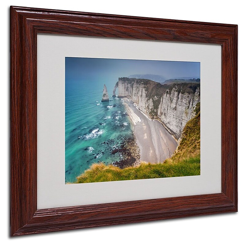Trademark Fine Art 11" x 14" Canvas, Wood Fog Artwork, Wood Frame image 1