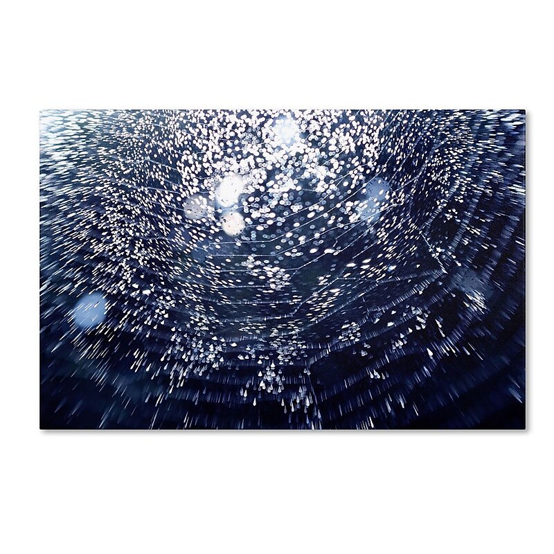 Trademark Fine Art 12" x 19" Wooden Frame 50 Shapes of Happiness image 1
