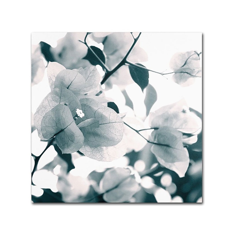 Trademark Fine Art 24" x 24" Wooden Frame About a Flower image 1