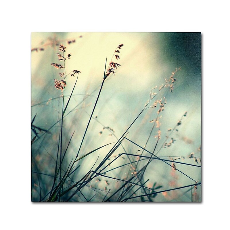 Trademark Fine Art 14" x 14" Wooden Frame About Hope Artwork image 1