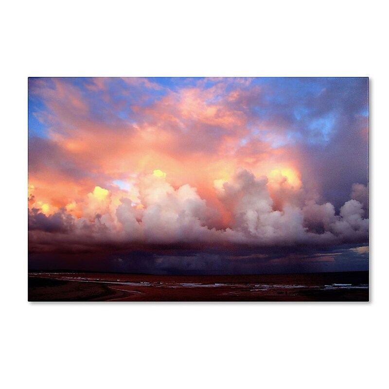 Trademark Fine Art 16" x 24" Canvas, Wood Gallery-Wrapped Canvas Art image 1
