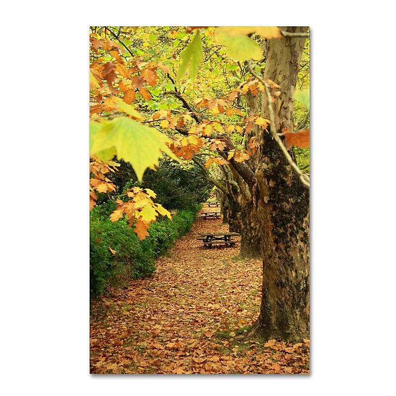 Trademark Fine Art 12" x 19" Wooden Frame Autumn Conversations image 1