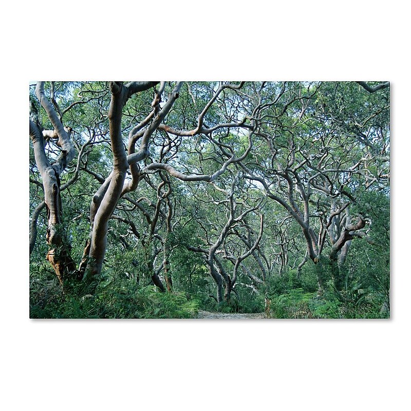 Trademark Fine Art 22" x 32" Wooden Frame Beautiful Minds Artwork image 1
