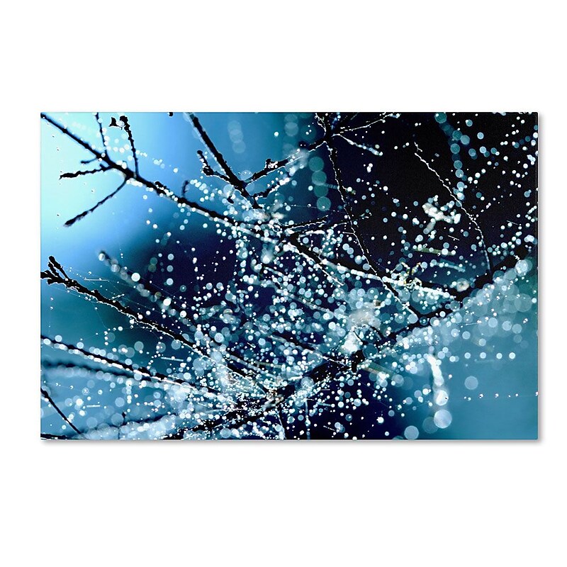 Trademark Fine Art 16" x 24" Wooden Frame Blue Rhapsody image 1