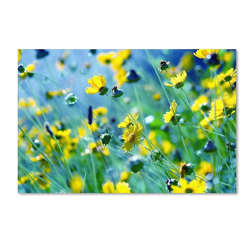Trademark Fine Art 22" x 32" Wooden Frame Flower Power image 1