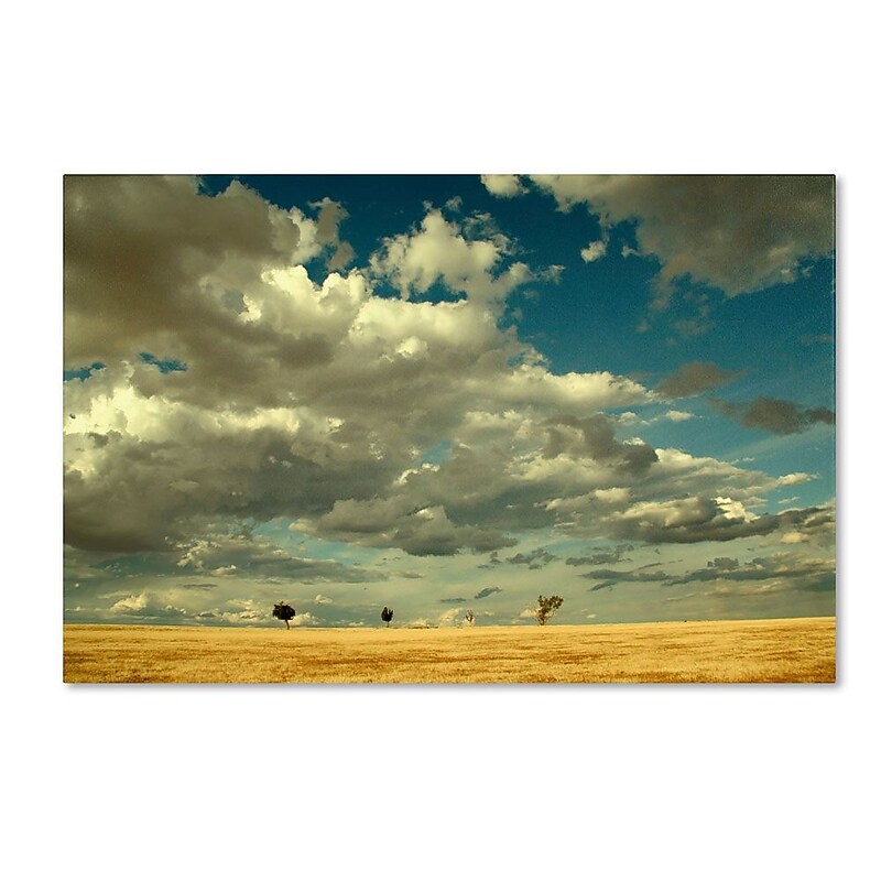 Trademark Fine Art 12" x 19" Wooden Frame Four Musketeers image 1