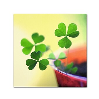 Trademark Fine Art 24" x 24" Wooden Frame The Light Artwork