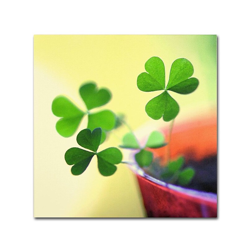 Trademark Fine Art 24" x 24" Wooden Frame The Light Artwork image 1