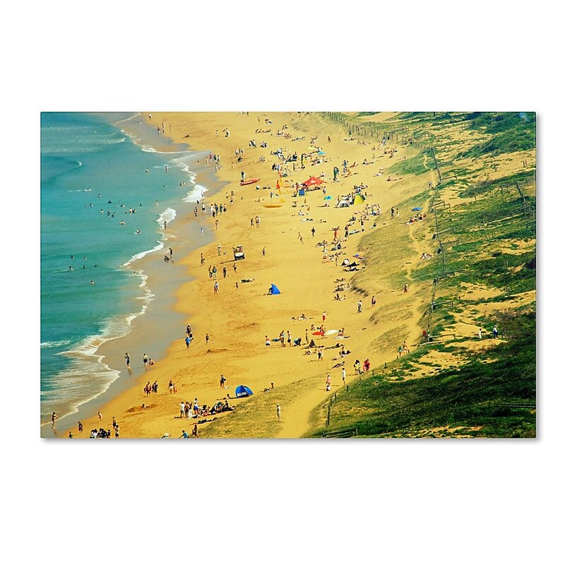 Trademark Fine Art 12" x 19" Wooden Frame Life is a Beach image 1