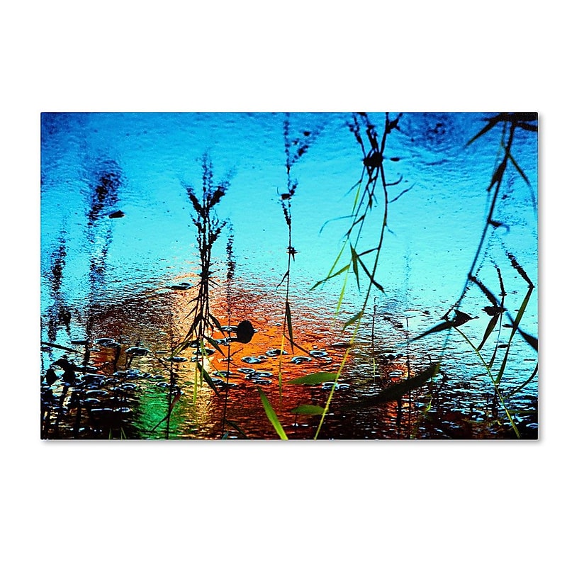 Trademark Fine Art 22" x 32" Wooden Frame Nature image 1