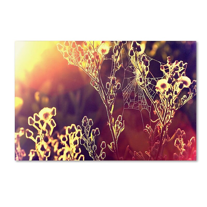 Trademark Fine Art 22" x 32" Wooden Frame Painting with Light image 1