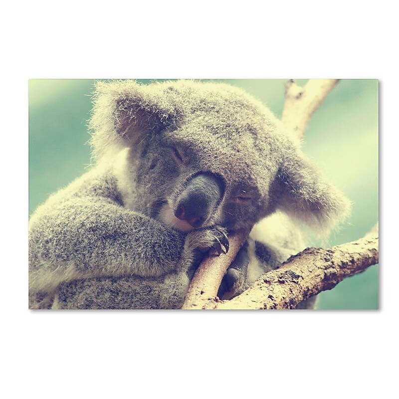 Trademark Fine Art 12" x 19" Wooden Frame Sleepy Head image 1