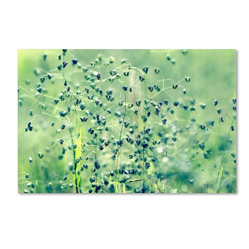 Trademark Fine Art 30" x 47" Wooden Frame Spring Notes image 1