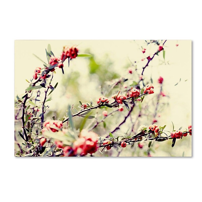 Trademark Fine Art 16" x 24" Wooden Frame Summer Melody image 1