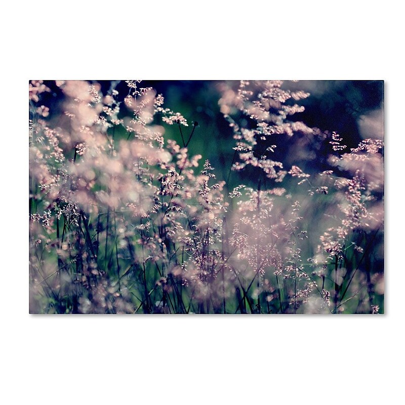 Trademark Fine Art 16" x 24" Wooden Frame Sweet Emotions image 1