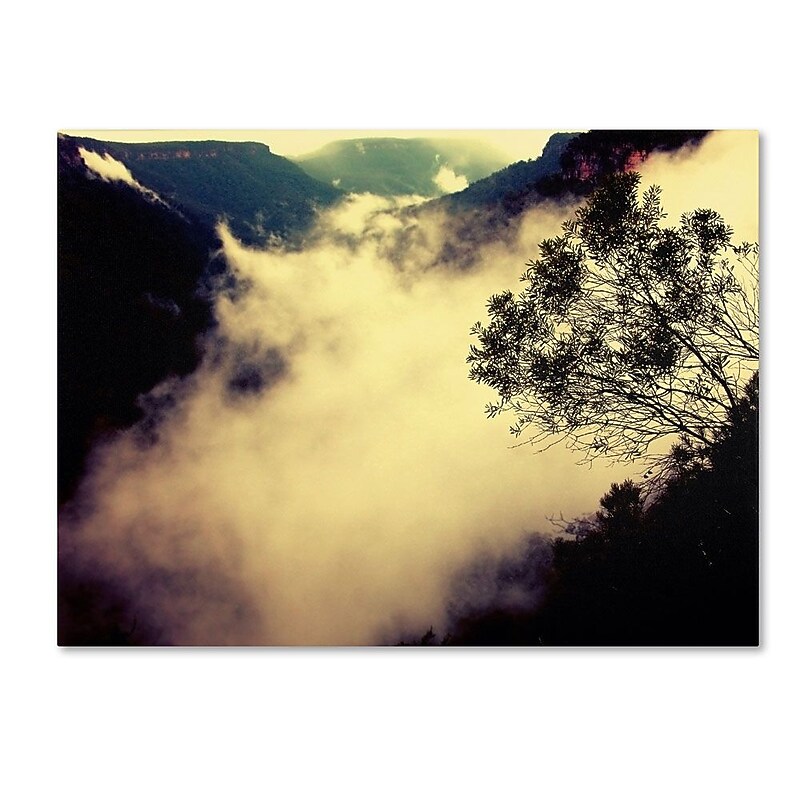 Trademark Fine Art 14" x 19" Wooden Frame Valley of Light image 1