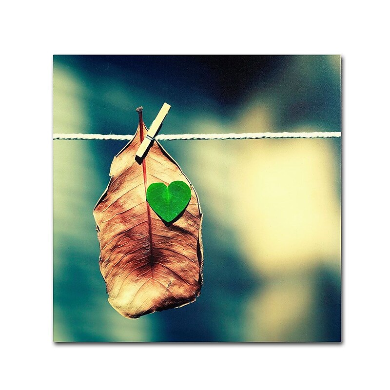 Trademark Fine Art 24" x 24" Wooden Frame Young at Heart image 1