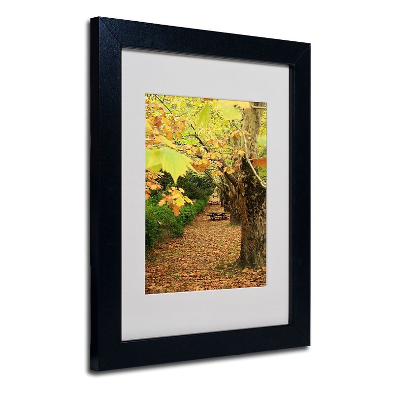 Trademark Fine Art 14" x 11" Acrylic Autumn, Black Frame image 1