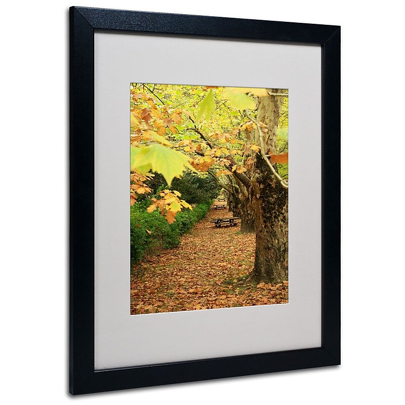 Trademark Fine Art 16" x 20" Acrylic Autumn, Black Frame image 1