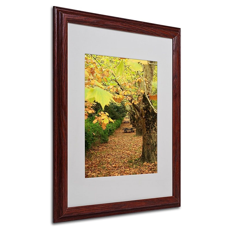 Trademark Fine Art 16" x 20" Acrylic Autumn, Dark Wood Frame image 1
