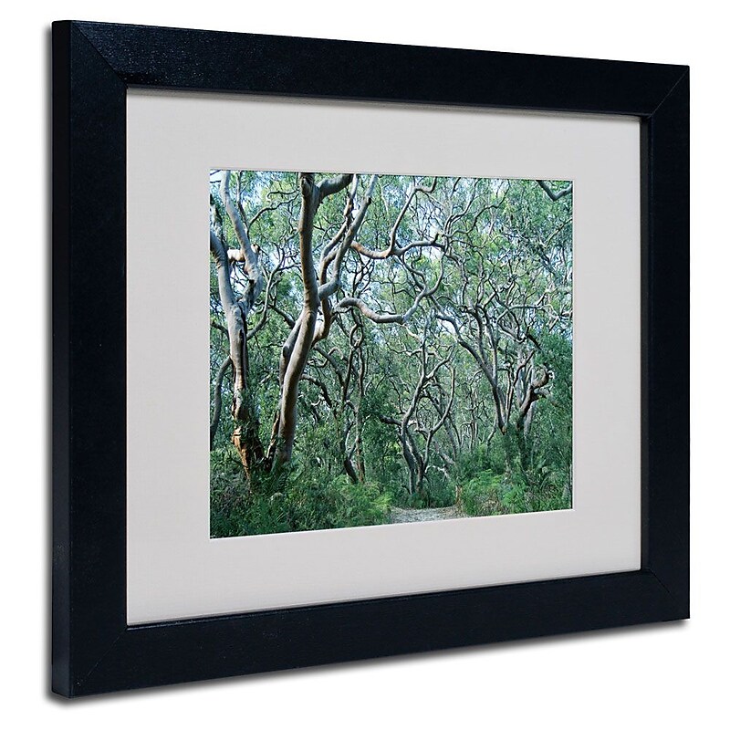 Trademark Fine Art 11" x 14" Acrylic Beautiful Minds, Black Frame image 1