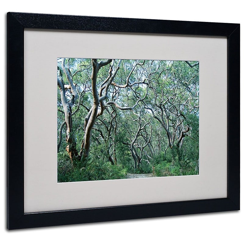 Trademark Fine Art 16" x 20" Acrylic Beautiful Minds, Black Frame image 1