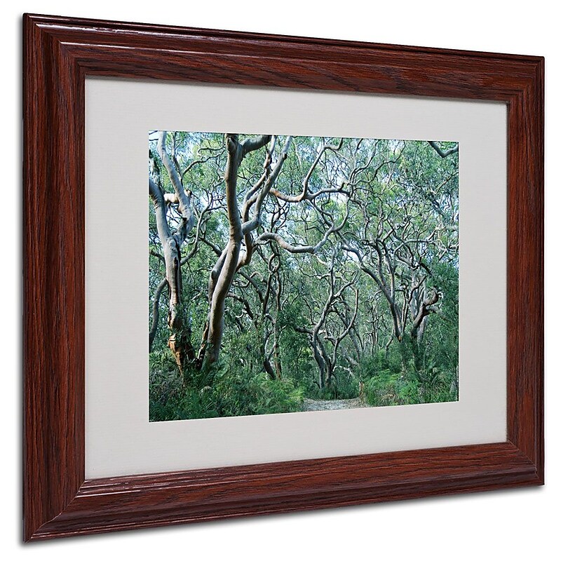 Trademark Fine Art 11" x 14" Acrylic Beautiful Minds, Dark Wooden Frame image 1