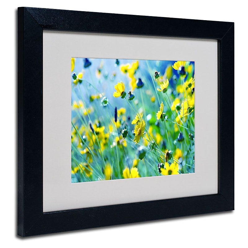 Trademark Fine Art 11" x 14" Acrylic Flower Power, Black Frame image 1