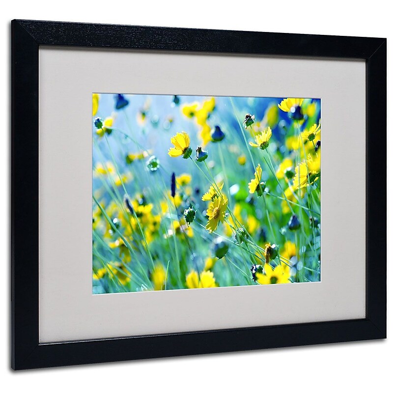 Trademark Fine Art 16" x 20" Canvas Flower Power, Black Frame image 1