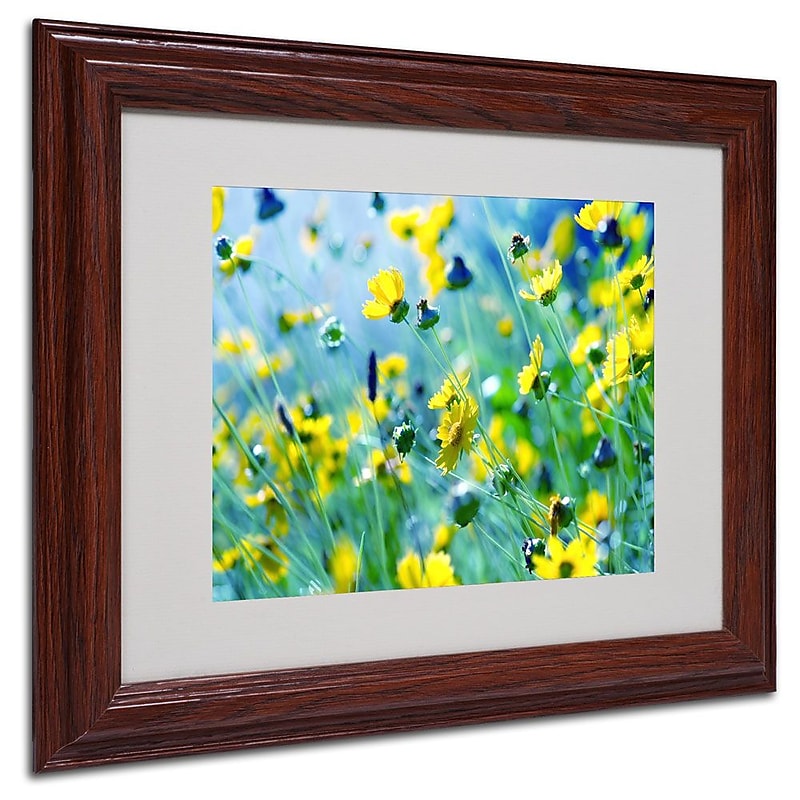 Trademark Fine Art 11" x 14" Acrylic Flower Power, Wood Frame image 1
